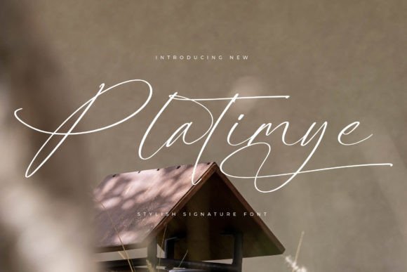 Platimye: Where Sophistication Meets the Fluidity of Script